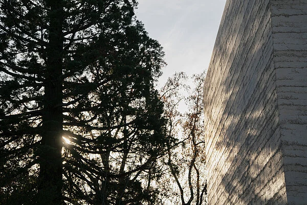 Цумтор расширил Fondation Beyeler не одним корпусом, а маленьким музейным кварталом