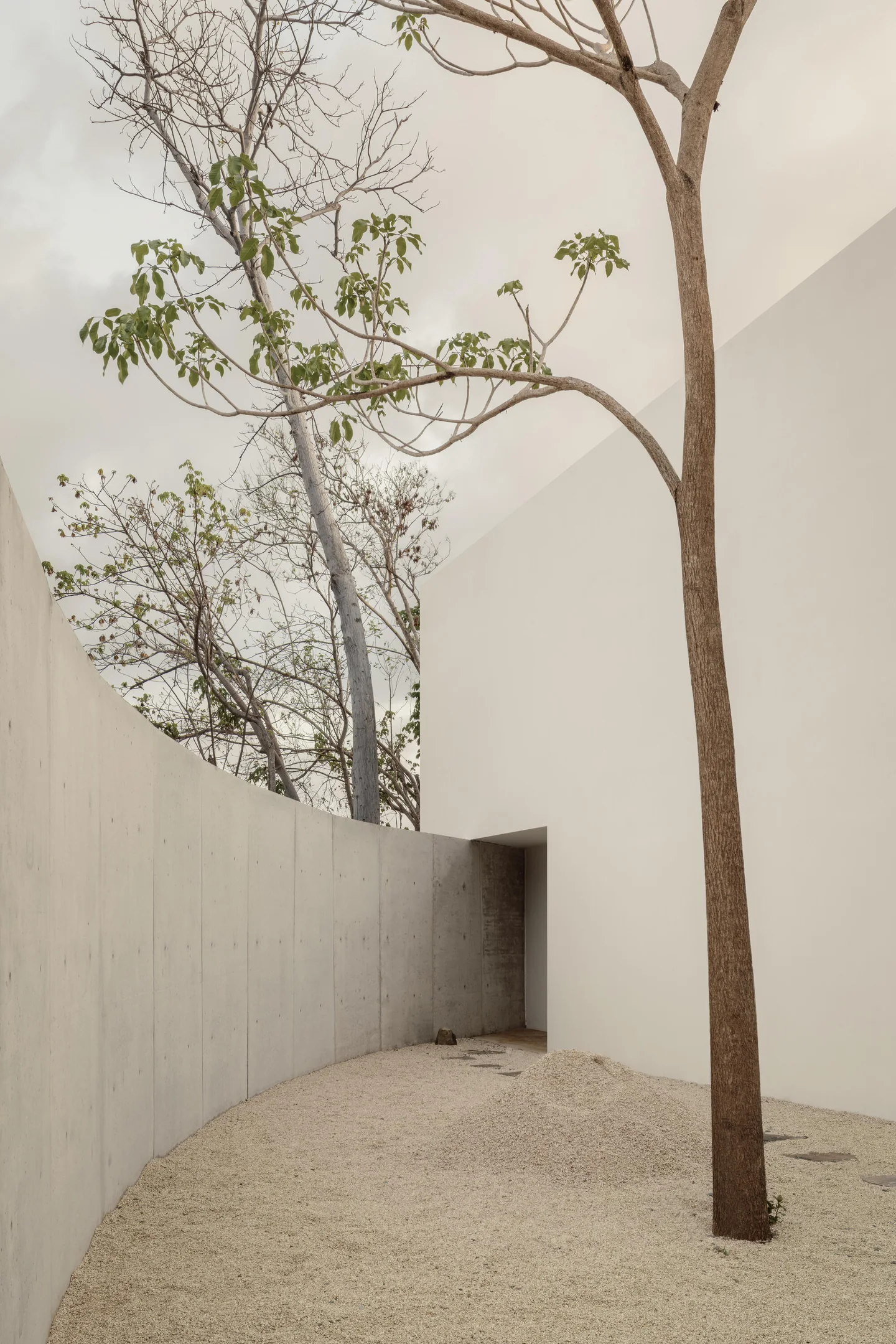 Casa Malonic · Кадр 21