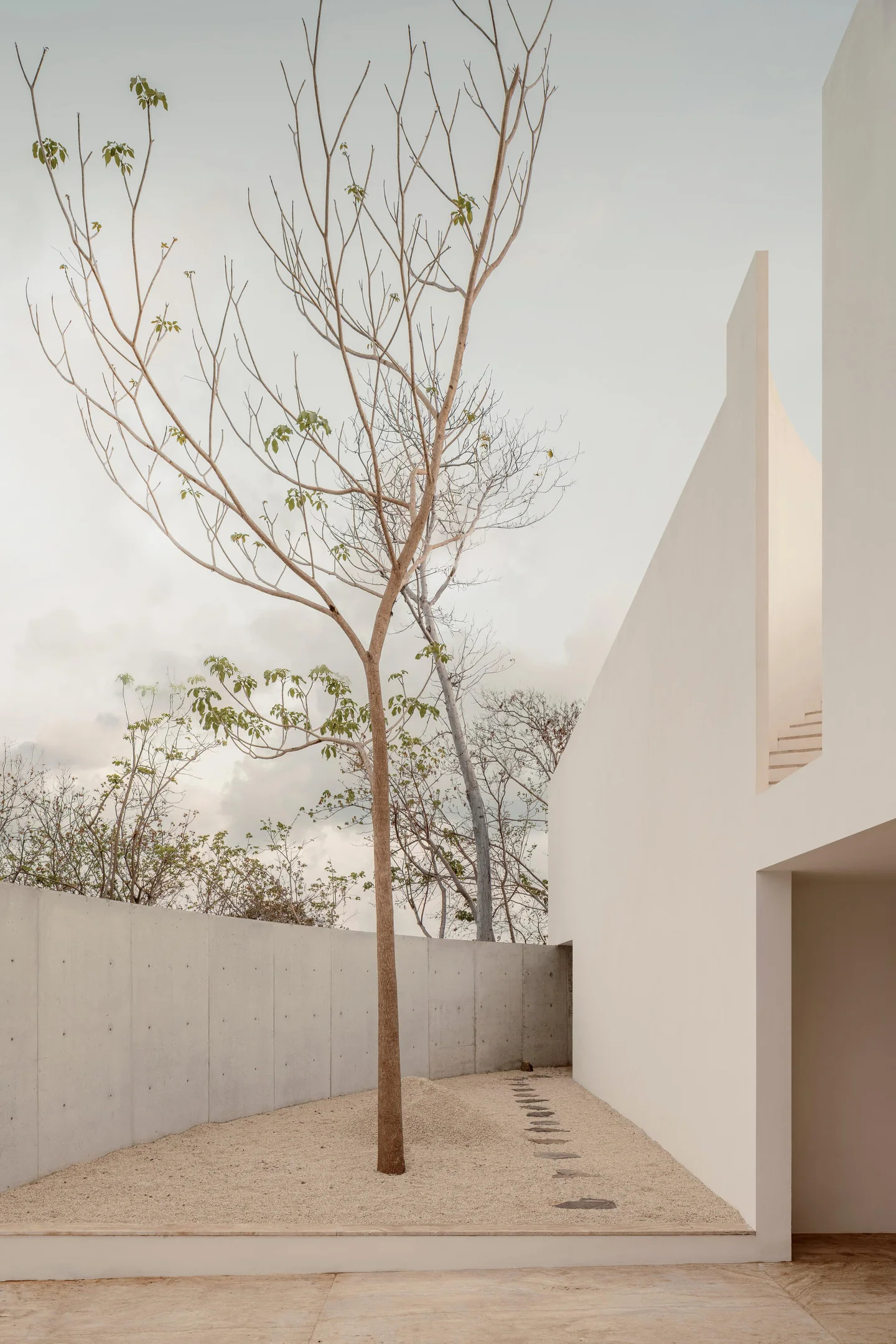 Casa Malonic · Кадр 20
